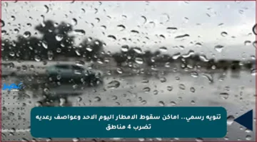 تنويه رسمي.. أماكن سقوط الأمطار اليوم الأحد وعواصف رعدية تضرب 4 مناطق